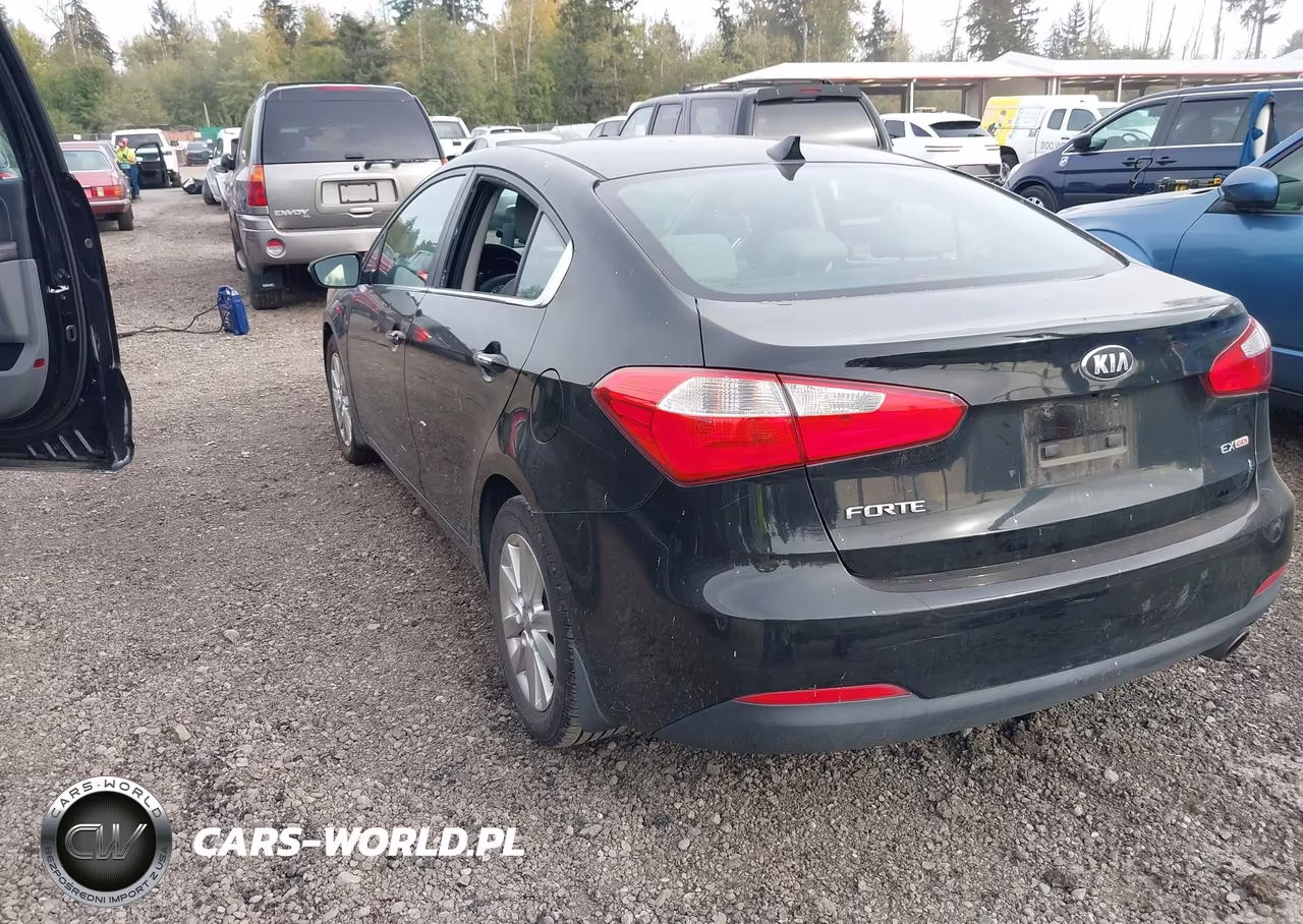 2014 Kia Forte Ex VIN:KNAFX4A87E5080471 - 3