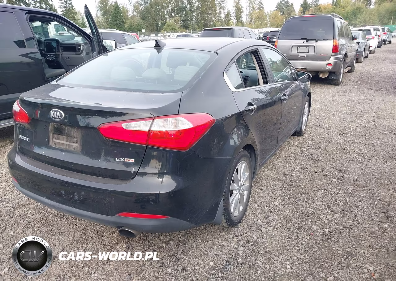 2014 Kia Forte Ex VIN:KNAFX4A87E5080471 - 4