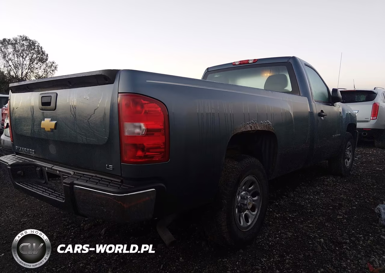 2013 Chevrolet Silverado 1500 Work Truck VIN:1GCNCPEA1DZ272551 - 4