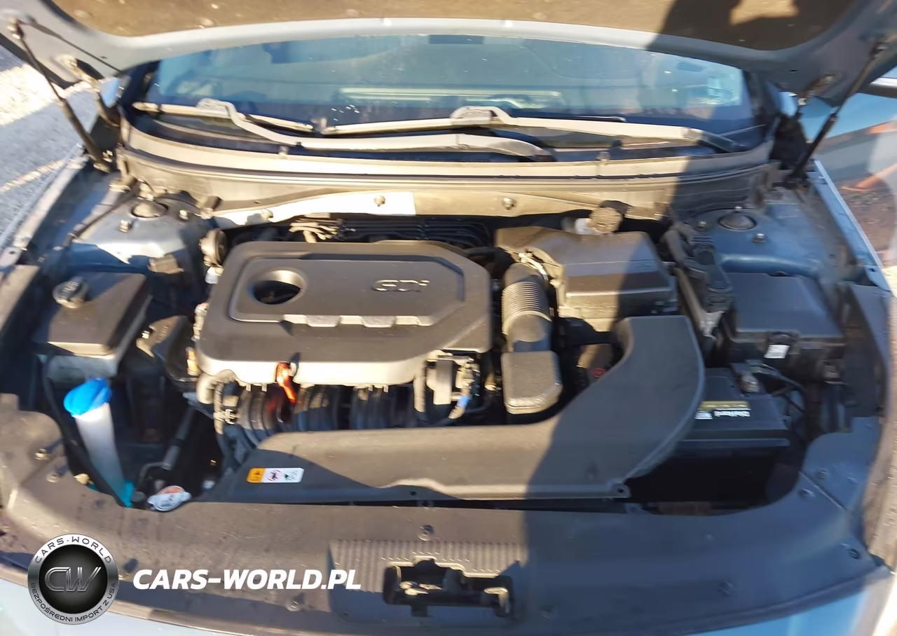 2017 Hyundai Sonata Sport VIN:5NPE34AF8HH524518 - 10