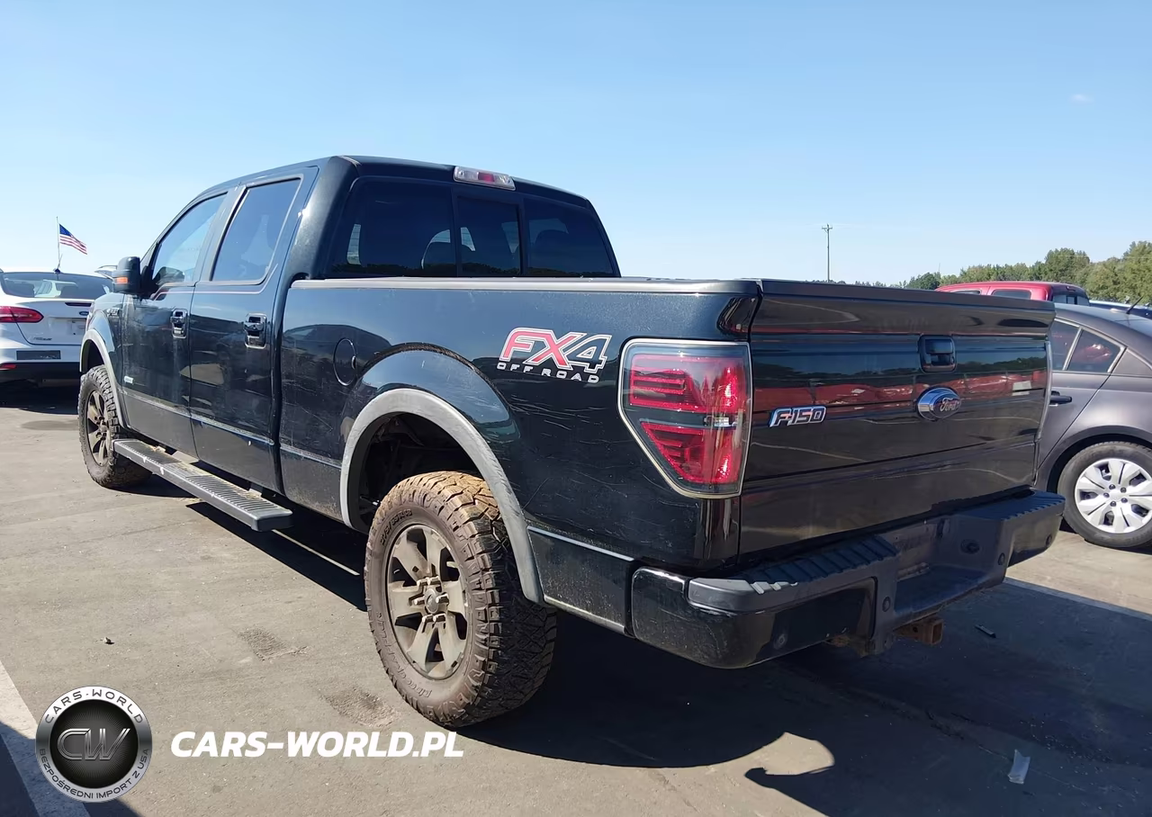 2013 Ford F-150 Fx4 VIN:1FTFW1ET3DFC26098 - 3