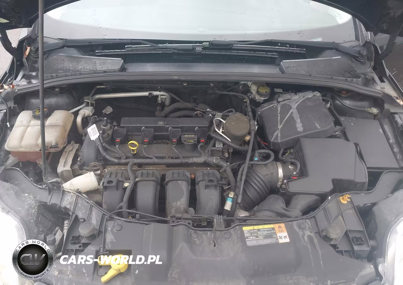 2014 Ford Focus Se VIN:1FADP3F24EL183261 - 10