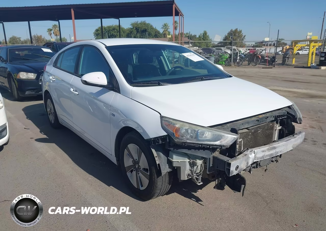 2019 Hyundai Ioniq Hybrid Blue VIN:KMHC65LC1KU131380 - 1