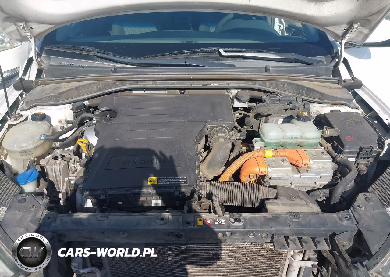 2019 Hyundai Ioniq Hybrid Blue VIN:KMHC65LC1KU131380 - 10