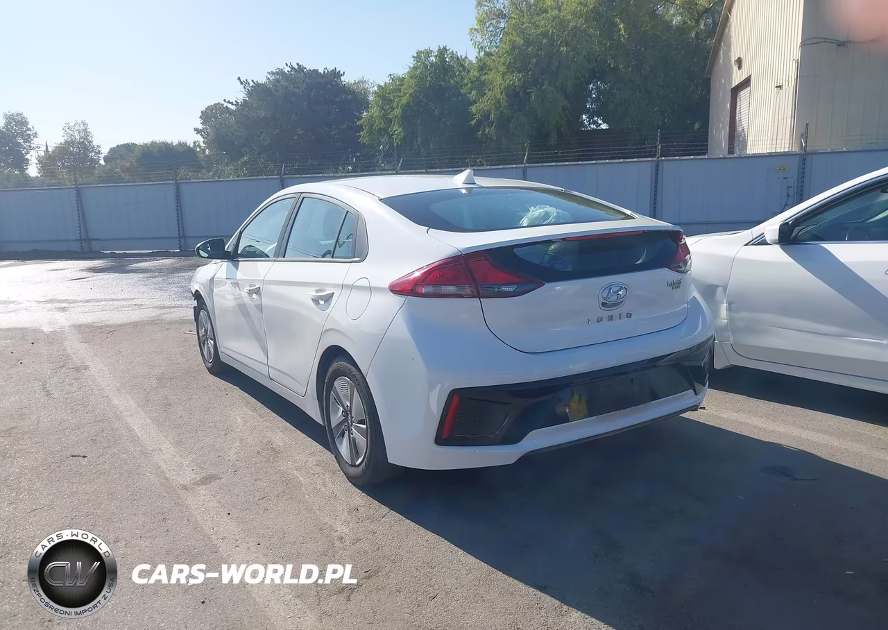 2019 Hyundai Ioniq Hybrid Blue VIN:KMHC65LC1KU131380 - 3