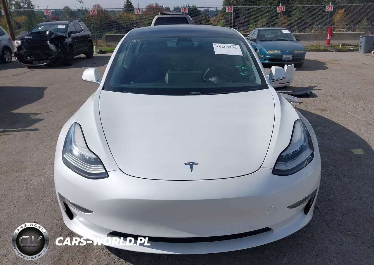 2020 Tesla Model 3 Long Range Dual Motor All-Wheel Drive VIN:5YJ3E1EB2LF650730 - 12