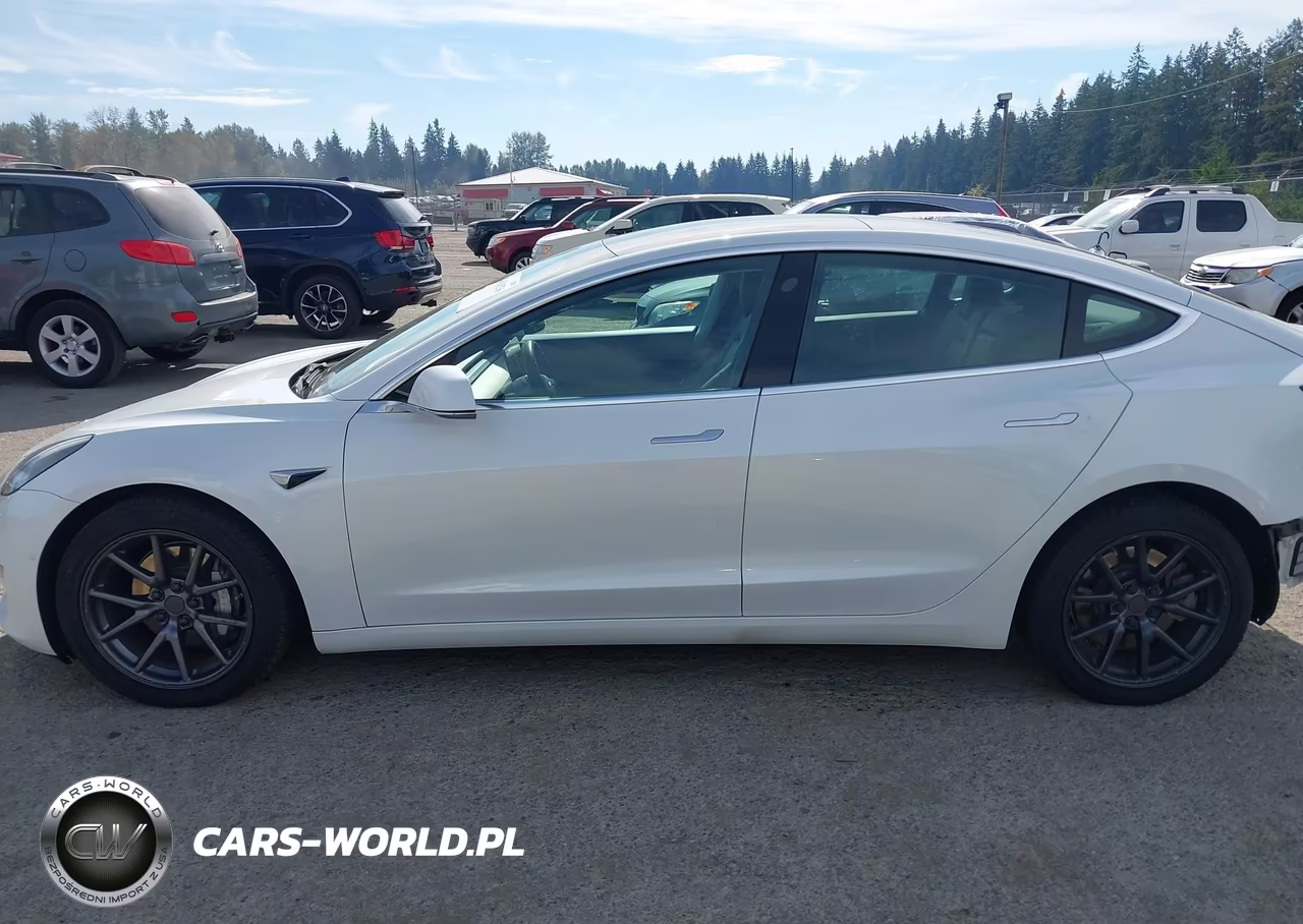 2020 Tesla Model 3 Long Range Dual Motor All-Wheel Drive VIN:5YJ3E1EB2LF650730 - 14
