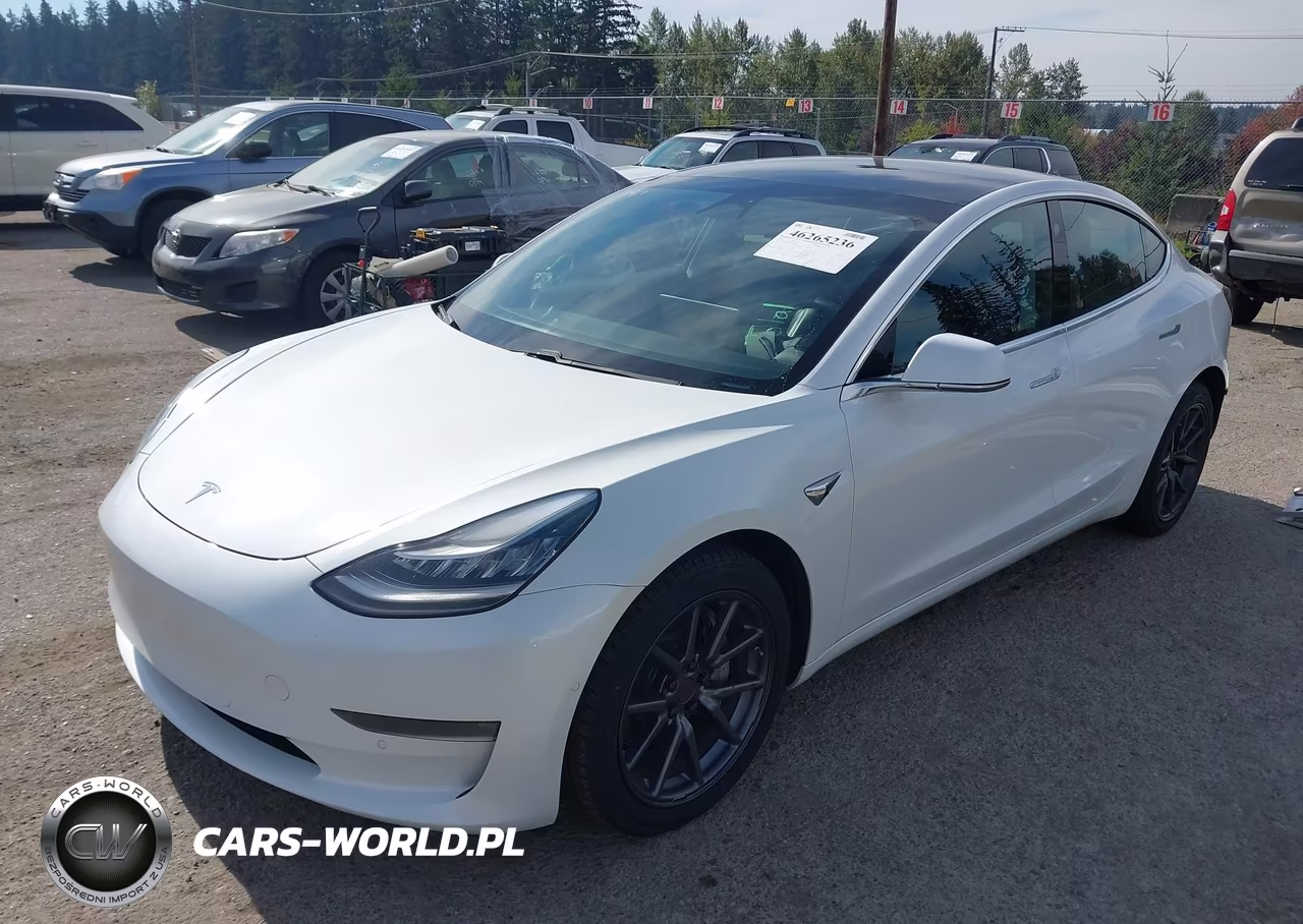 2020 Tesla Model 3 Long Range Dual Motor All-Wheel Drive VIN:5YJ3E1EB2LF650730 - 2