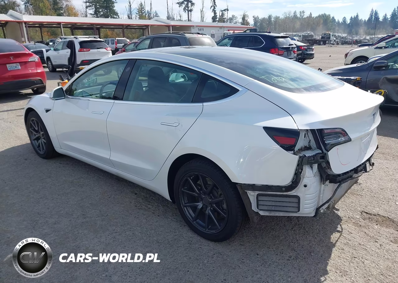 2020 Tesla Model 3 Long Range Dual Motor All-Wheel Drive VIN:5YJ3E1EB2LF650730 - 3