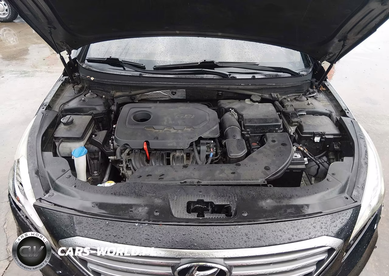 2017 Hyundai Sonata Sport VIN:5NPE34AF3HH592337 - 10
