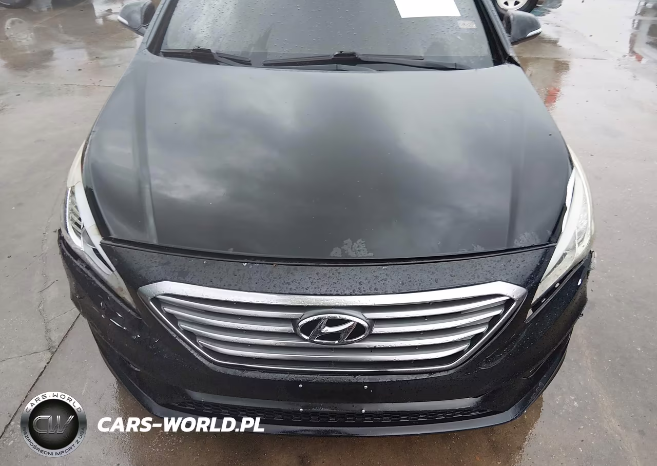 2017 Hyundai Sonata Sport VIN:5NPE34AF3HH592337 - 12