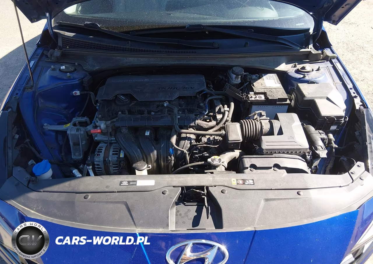 2021 Hyundai Elantra Limited VIN:KMHLP4AG2MU115933 - 10