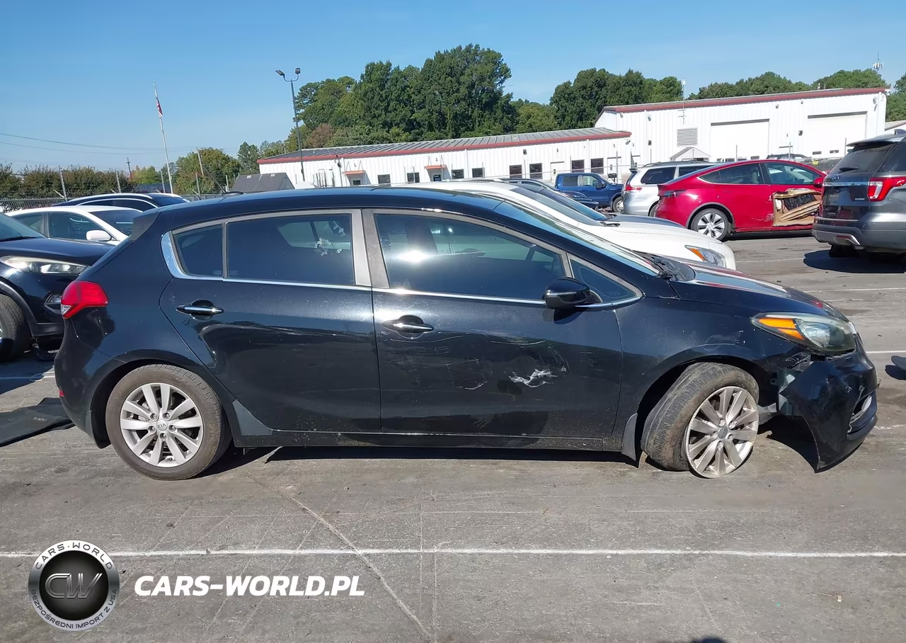 2015 Kia Forte Ex VIN:KNAFX5A88F5357992 - 13