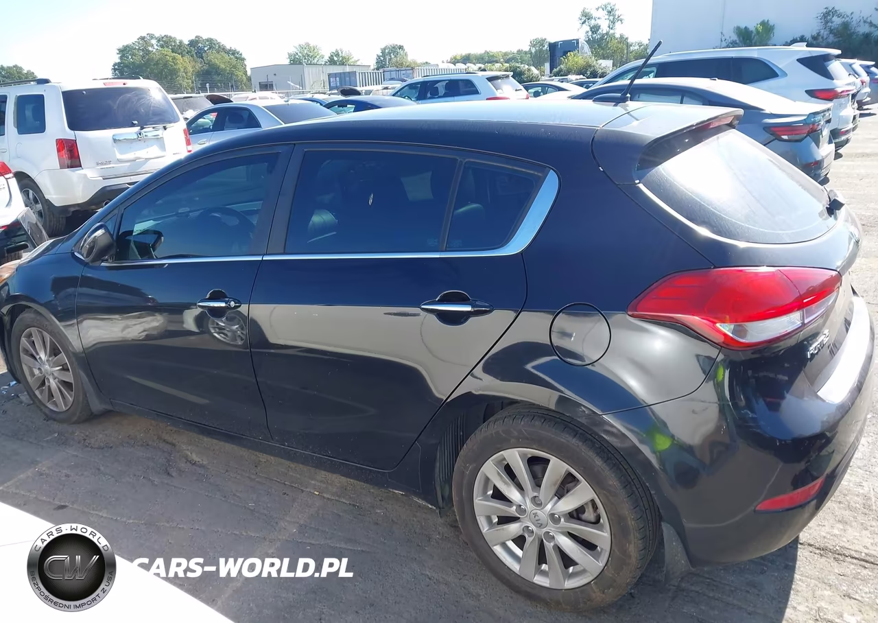 2015 Kia Forte Ex VIN:KNAFX5A88F5357992 - 14