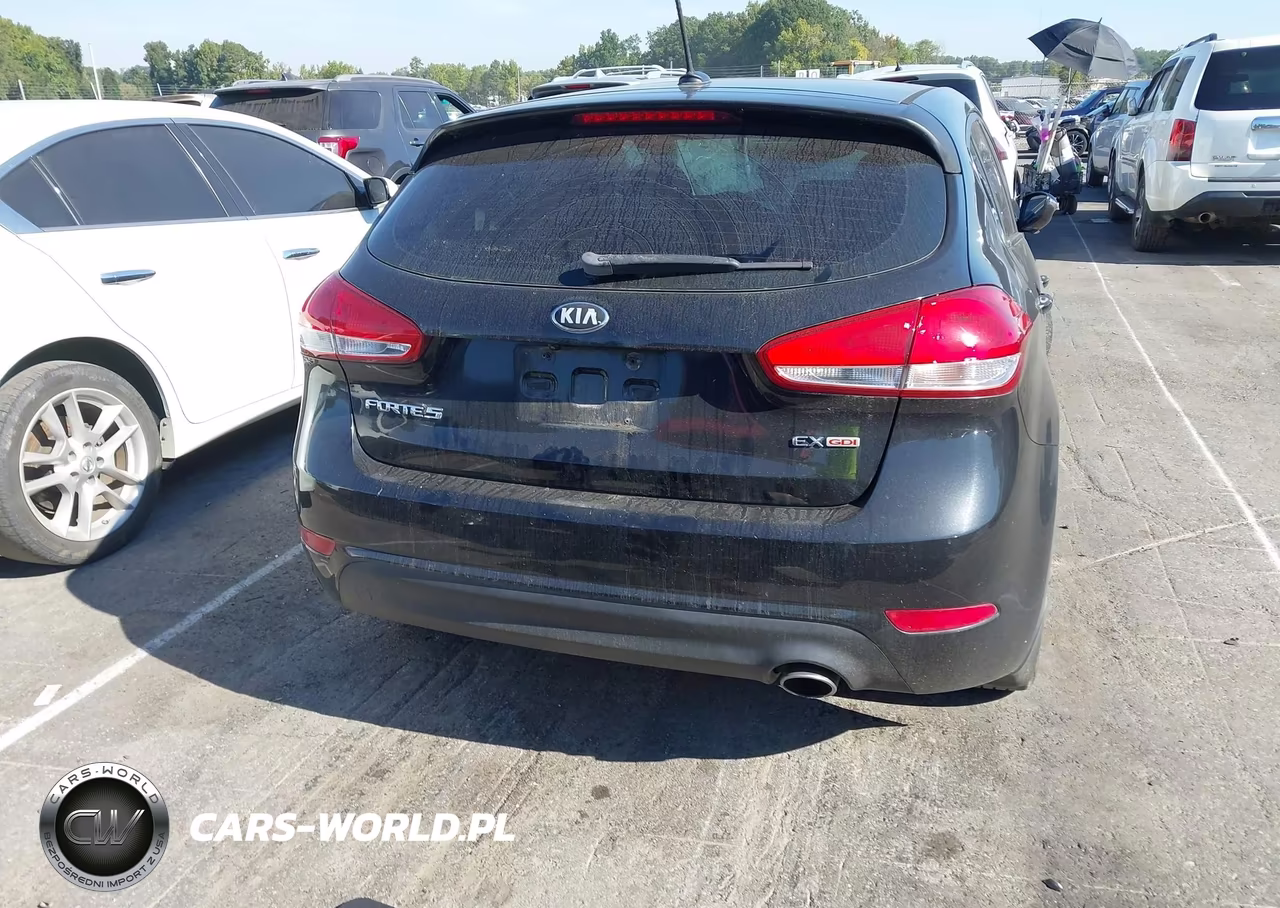 2015 Kia Forte Ex VIN:KNAFX5A88F5357992 - 16