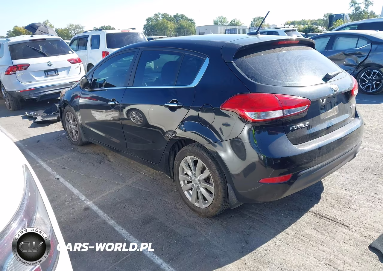 2015 Kia Forte Ex VIN:KNAFX5A88F5357992 - 3