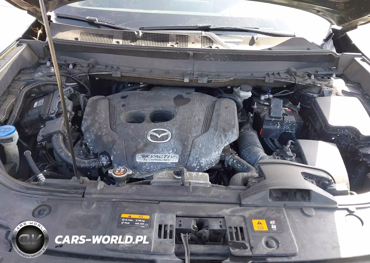 2016 Mazda Cx-9 Signature VIN:JM3TCBEY4G0118875 - 10