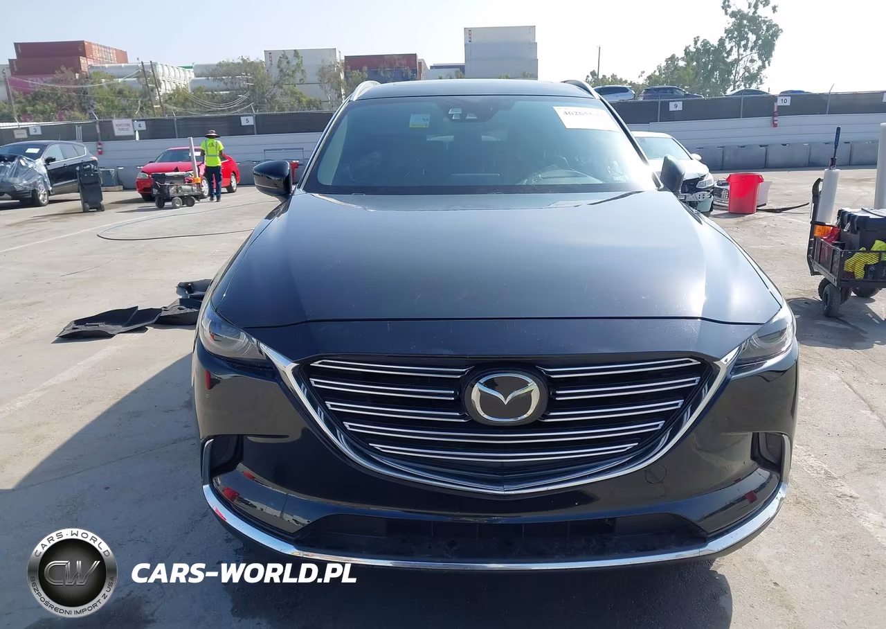2016 Mazda Cx-9 Signature VIN:JM3TCBEY4G0118875 - 12