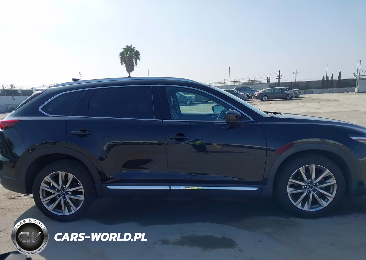 2016 Mazda Cx-9 Signature VIN:JM3TCBEY4G0118875 - 13
