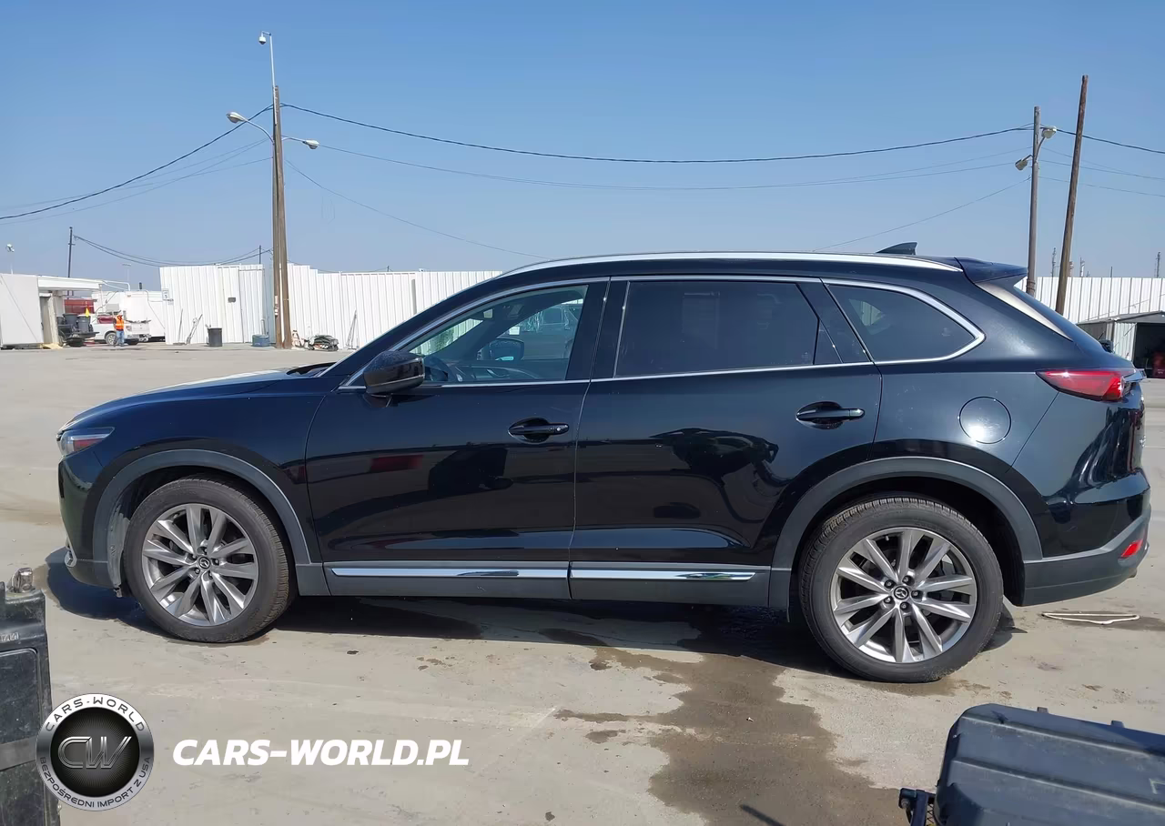 2016 Mazda Cx-9 Signature VIN:JM3TCBEY4G0118875 - 14