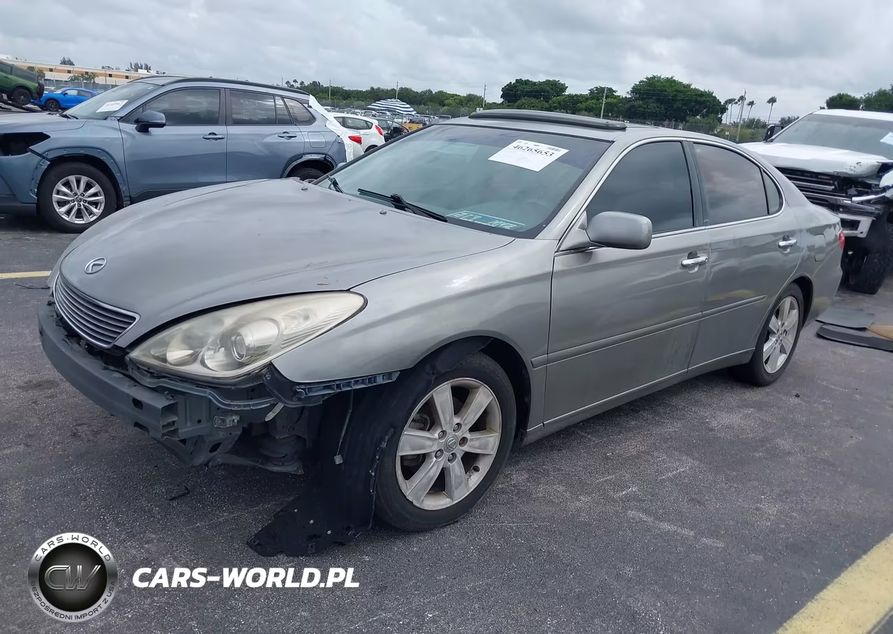 2005 Lexus Es 330 VIN:JTHBA30G555136749 - 2