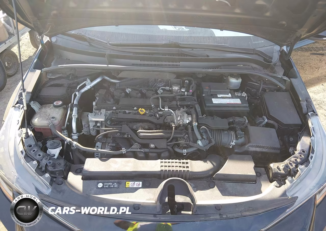 2019 Toyota Corolla Se VIN:JTNK4RBE4K3050813 - 10