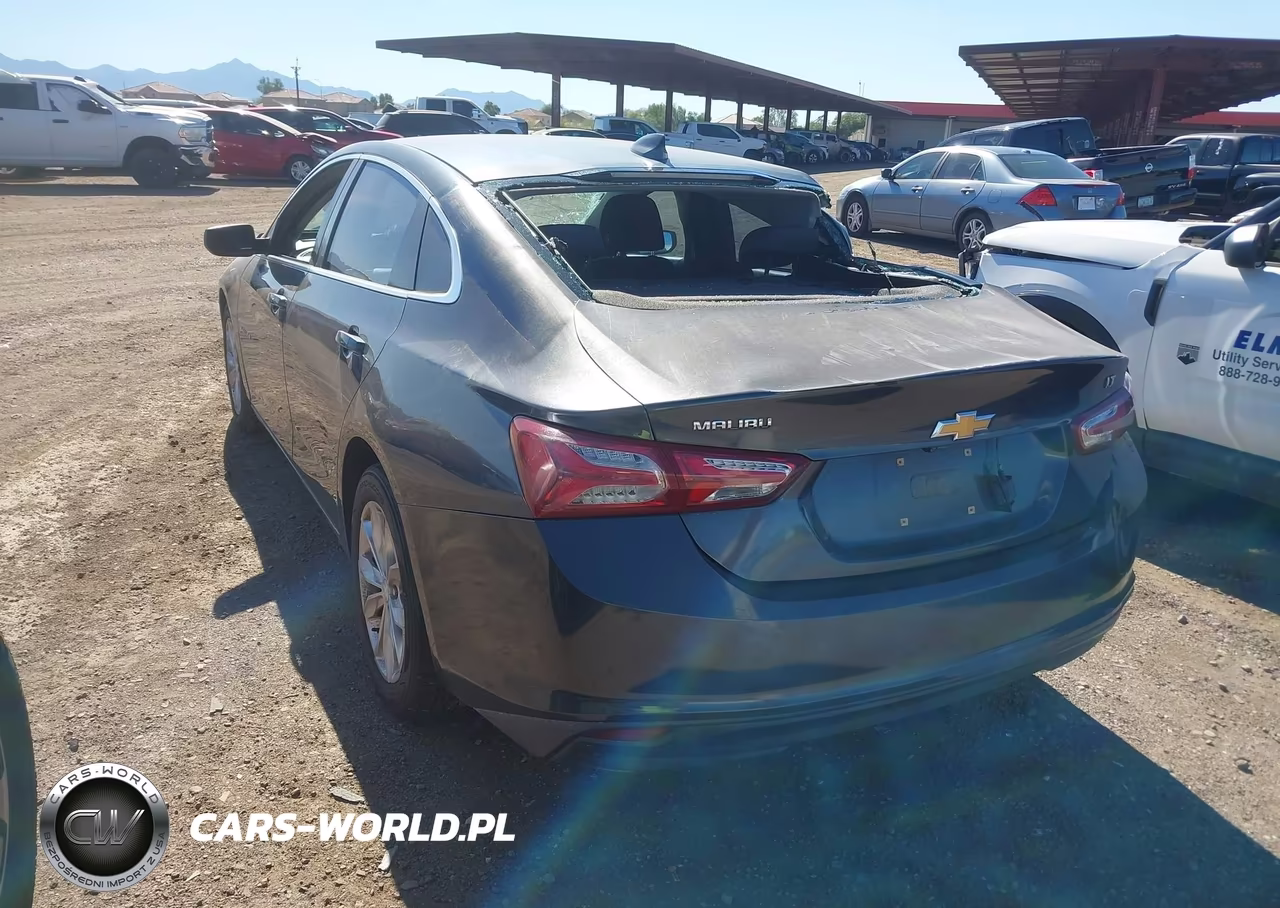 2019 Chevrolet Malibu Lt VIN:1G1ZD5ST4KF117850 - 3