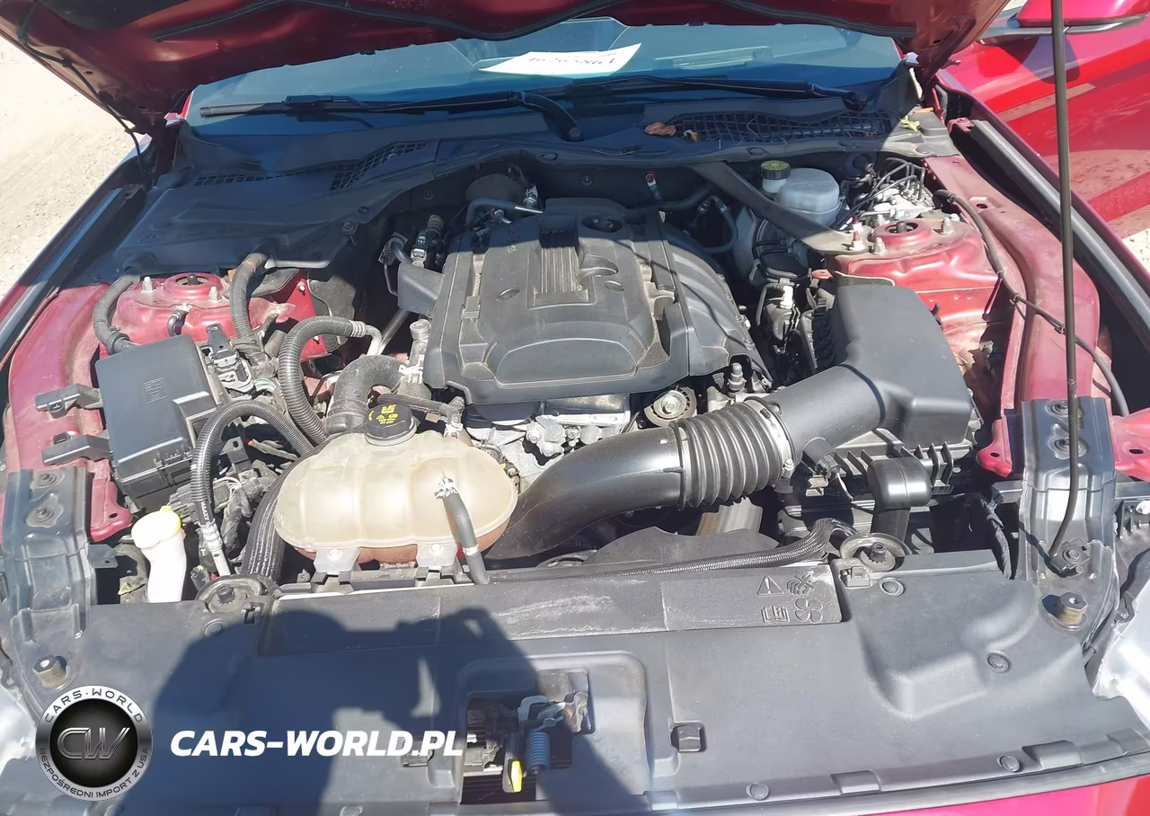 2019 Ford Mustang Ecoboost Premium VIN:1FATP8UH6K5178675 - 10