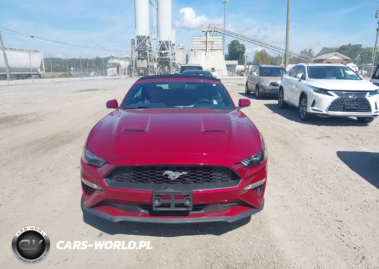 2019 Ford Mustang Ecoboost Premium VIN:1FATP8UH6K5178675 - 12