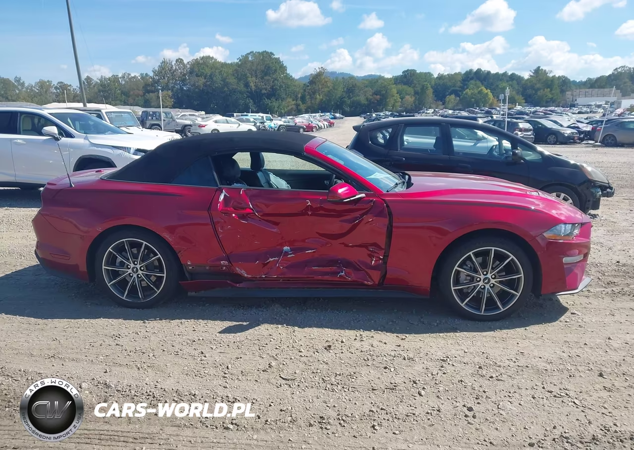 2019 Ford Mustang Ecoboost Premium VIN:1FATP8UH6K5178675 - 13