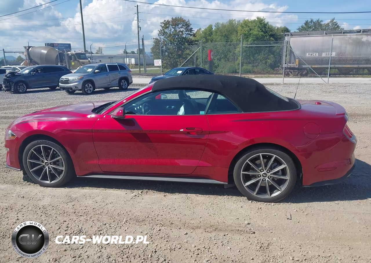 2019 Ford Mustang Ecoboost Premium VIN:1FATP8UH6K5178675 - 14