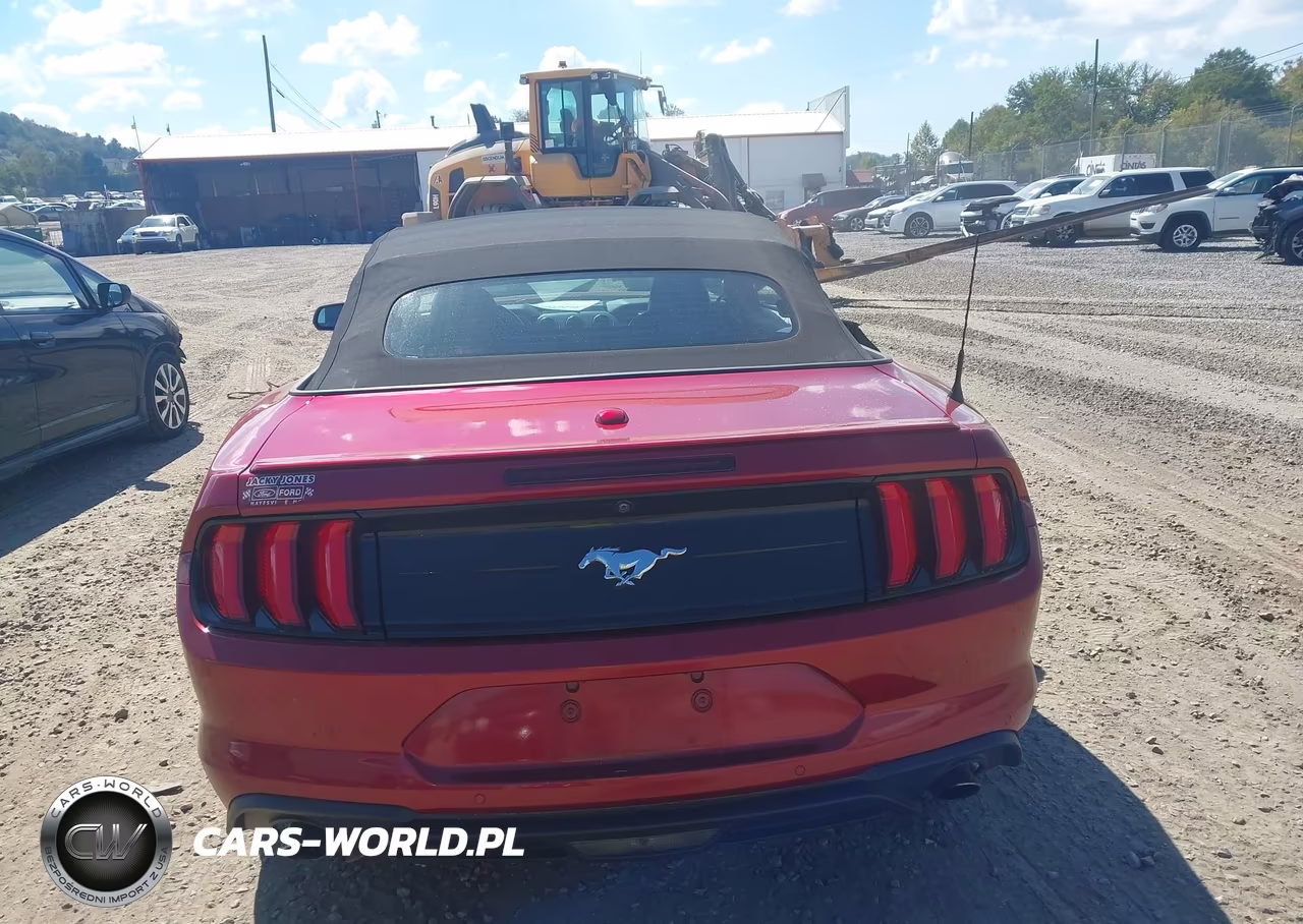 2019 Ford Mustang Ecoboost Premium VIN:1FATP8UH6K5178675 - 16