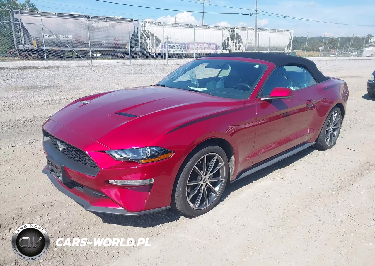 2019 Ford Mustang Ecoboost Premium VIN:1FATP8UH6K5178675 - 2