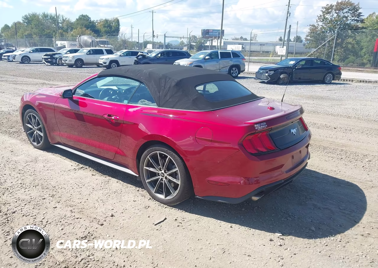 2019 Ford Mustang Ecoboost Premium VIN:1FATP8UH6K5178675 - 3