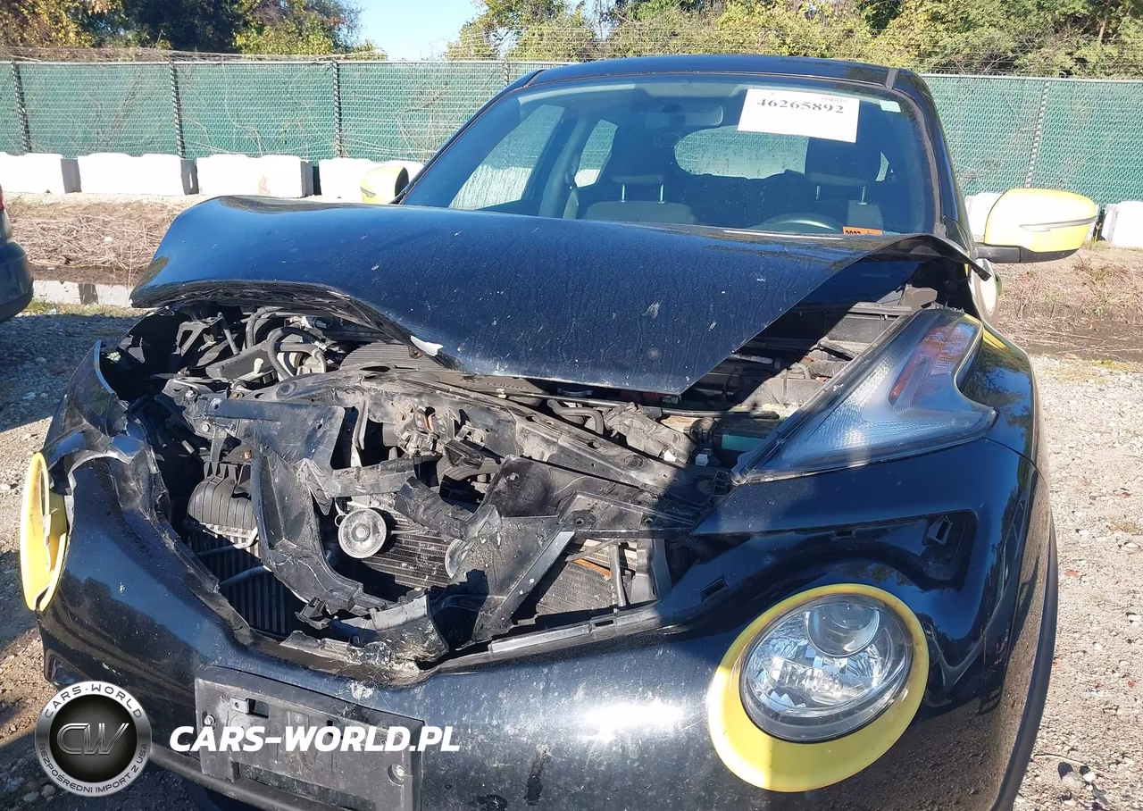 2015 Nissan Juke S VIN:JN8AF5MV3FT553923 - 6