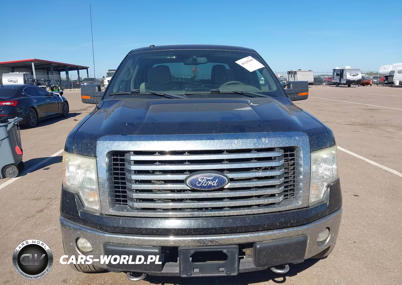 2010 Ford F-150 Fx4-Harley-Davidson-King Ranch-Lariat-Platinum-Xl-Xlt VIN:1FTFW1EV9AFA97877 - 12