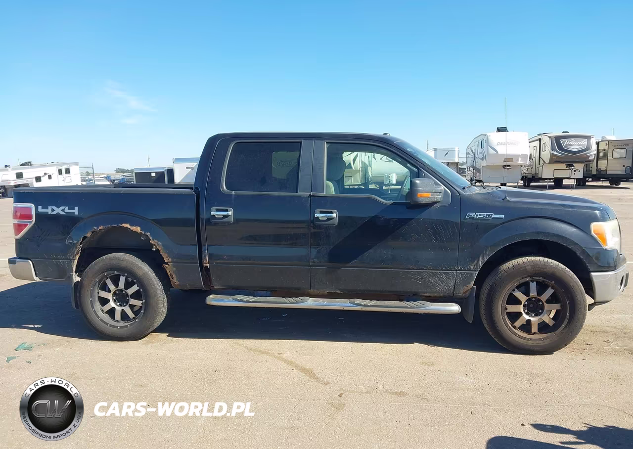 2010 Ford F-150 Fx4-Harley-Davidson-King Ranch-Lariat-Platinum-Xl-Xlt VIN:1FTFW1EV9AFA97877 - 13