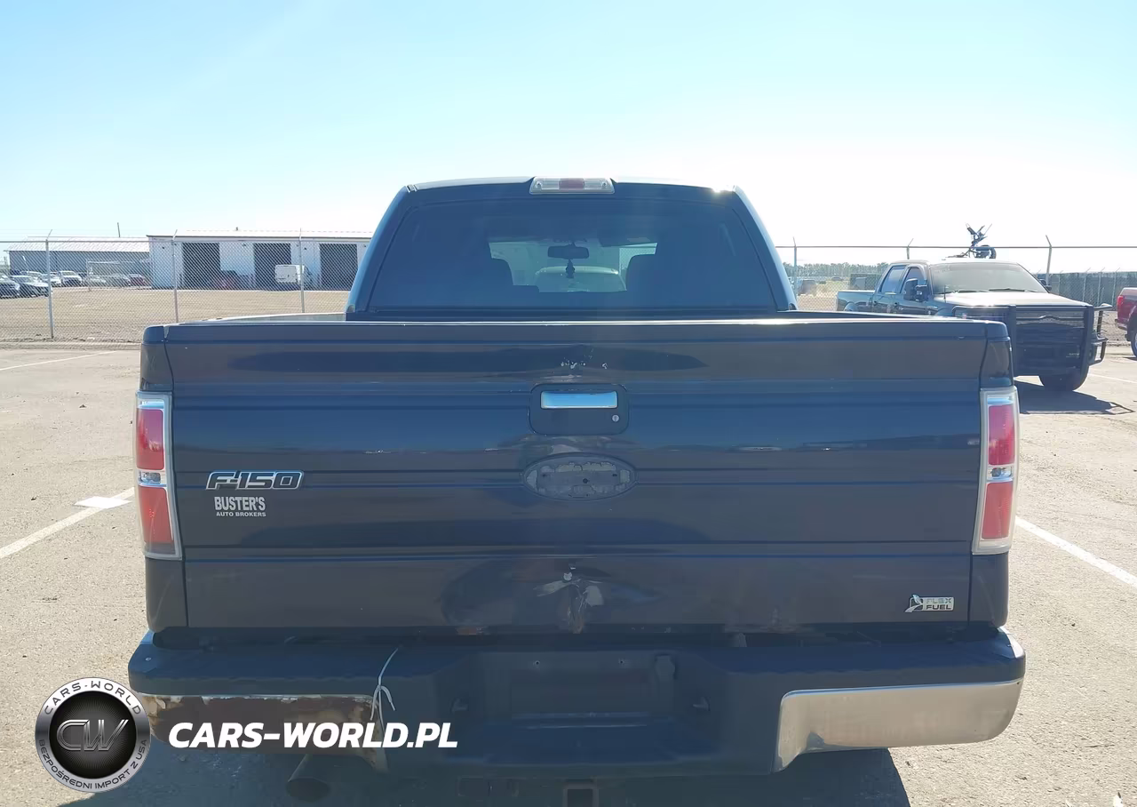 2010 Ford F-150 Fx4-Harley-Davidson-King Ranch-Lariat-Platinum-Xl-Xlt VIN:1FTFW1EV9AFA97877 - 16
