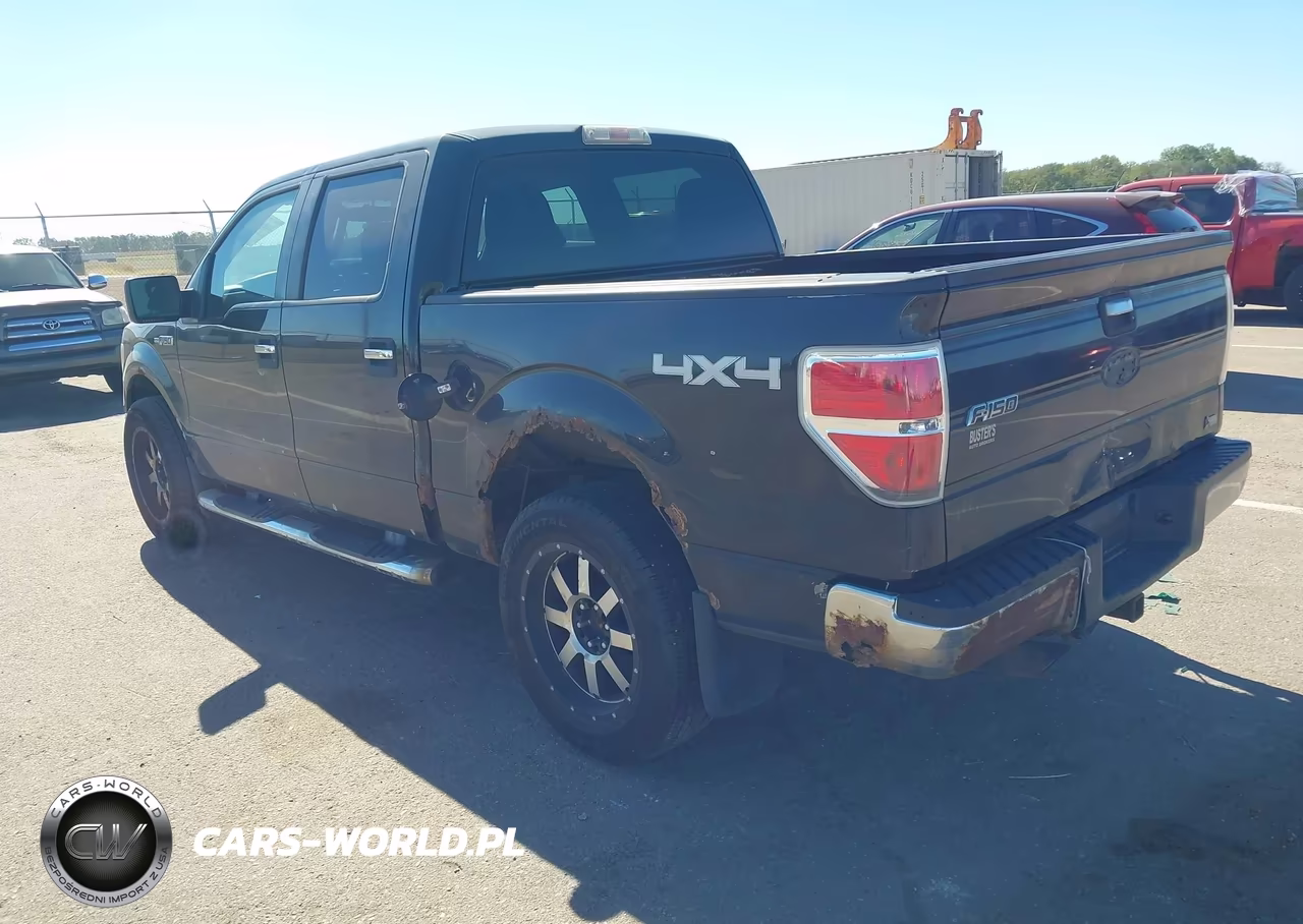 2010 Ford F-150 Fx4-Harley-Davidson-King Ranch-Lariat-Platinum-Xl-Xlt VIN:1FTFW1EV9AFA97877 - 3