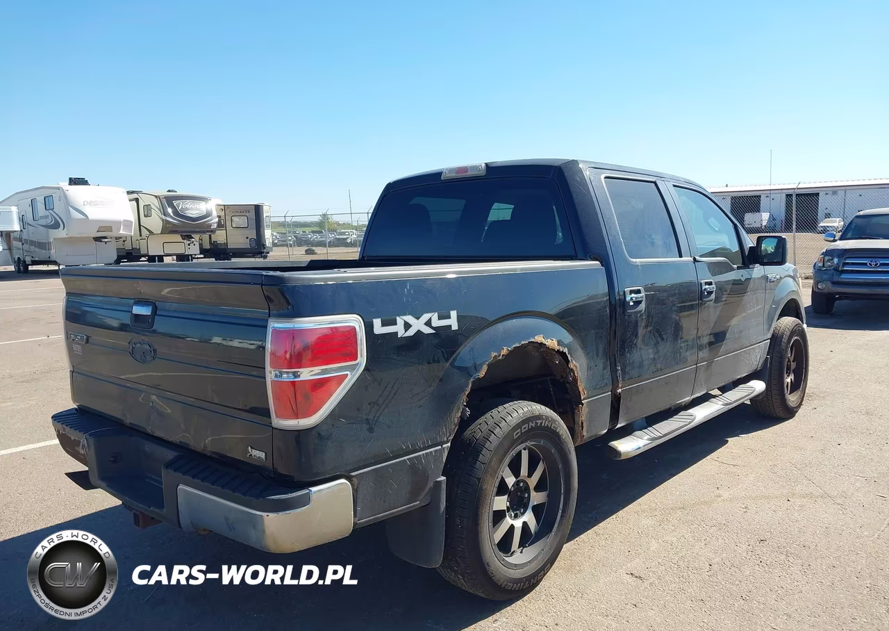 2010 Ford F-150 Fx4-Harley-Davidson-King Ranch-Lariat-Platinum-Xl-Xlt VIN:1FTFW1EV9AFA97877 - 4