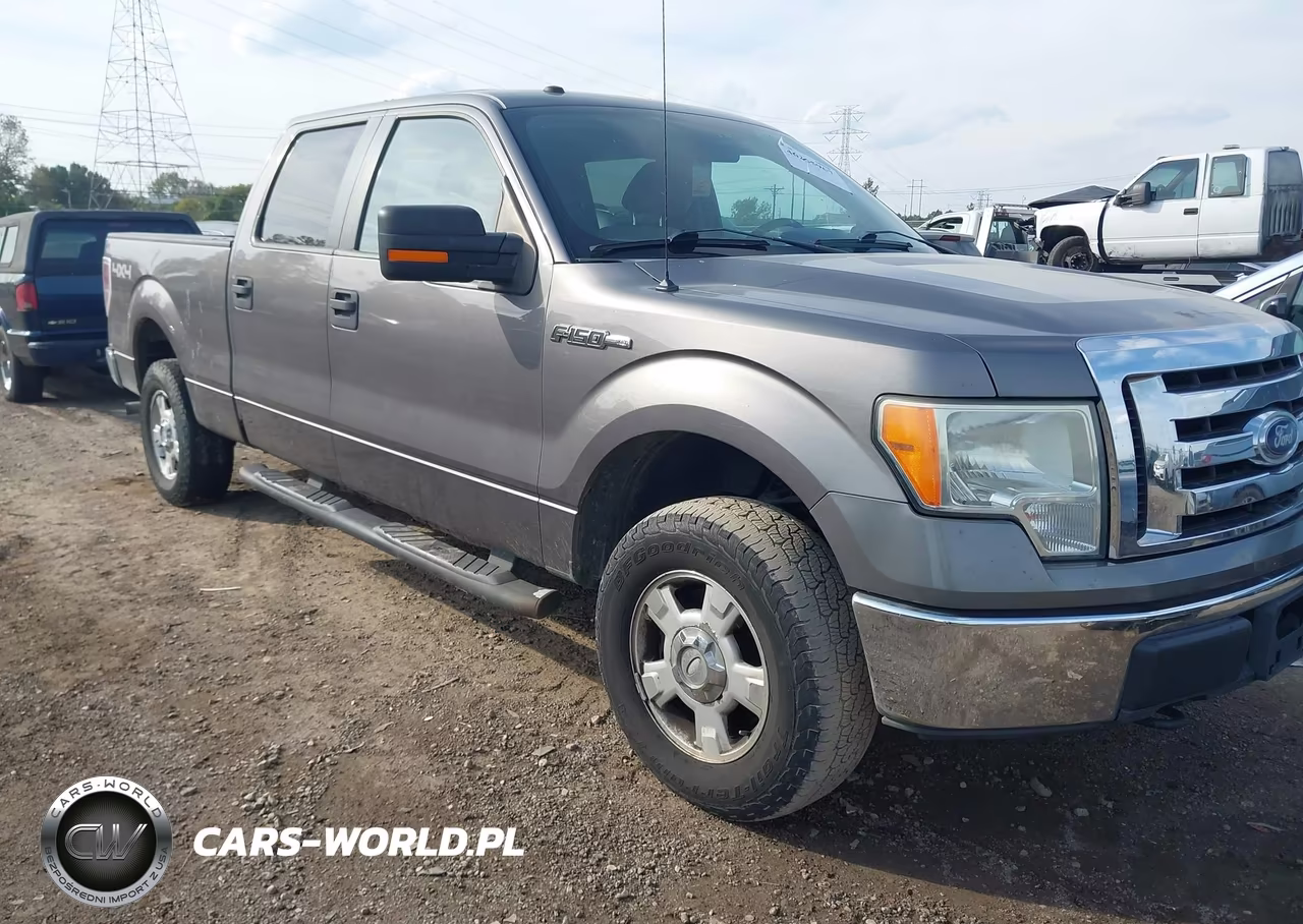 2010 Ford F-150 Fx4-Harley-Davidson-King Ranch-Lariat-Platinum-Xl-Xlt