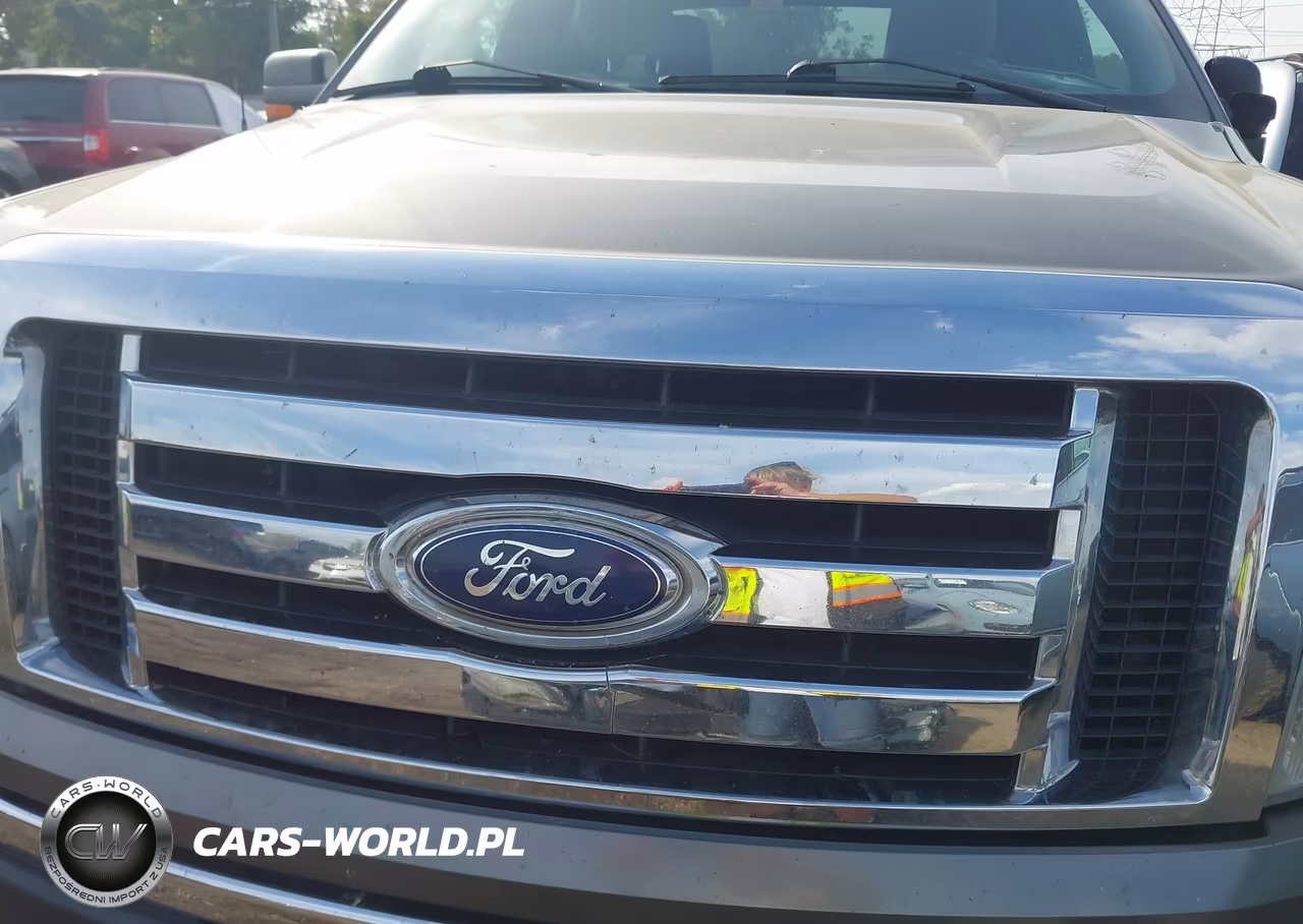 2010 Ford F-150 Fx4-Harley-Davidson-King Ranch-Lariat-Platinum-Xl-Xlt VIN:1FTFW1EV9AFB72108 - 12