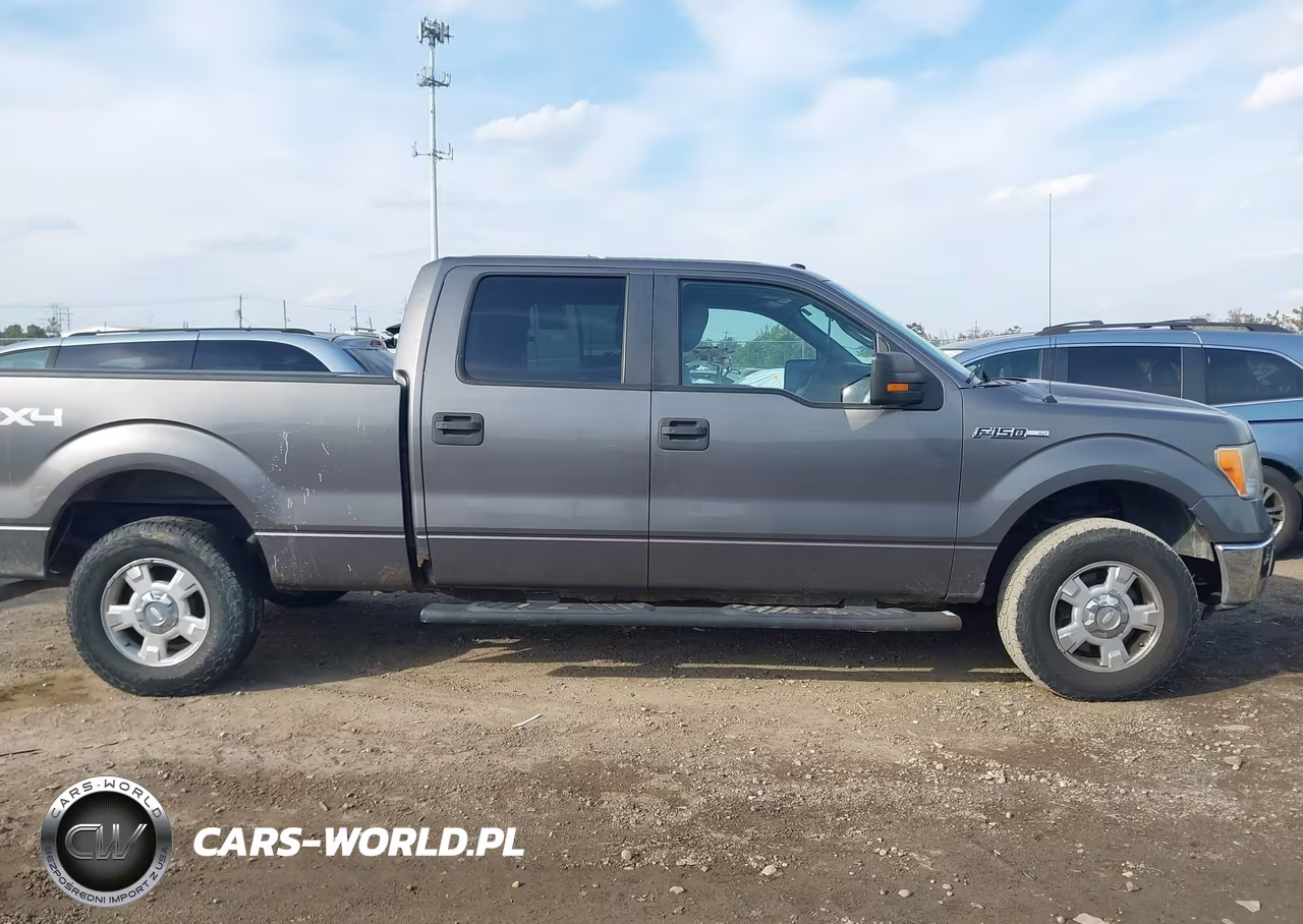 2010 Ford F-150 Fx4-Harley-Davidson-King Ranch-Lariat-Platinum-Xl-Xlt VIN:1FTFW1EV9AFB72108 - 13
