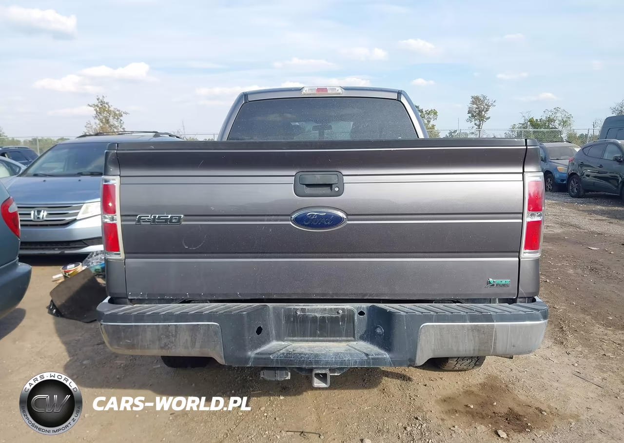 2010 Ford F-150 Fx4-Harley-Davidson-King Ranch-Lariat-Platinum-Xl-Xlt VIN:1FTFW1EV9AFB72108 - 16
