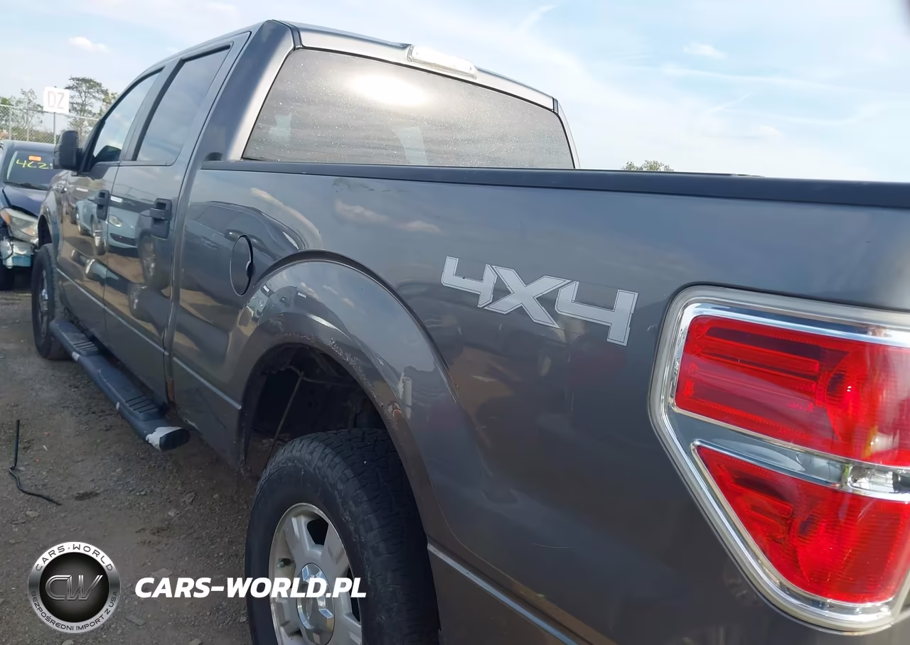 2010 Ford F-150 Fx4-Harley-Davidson-King Ranch-Lariat-Platinum-Xl-Xlt VIN:1FTFW1EV9AFB72108 - 3