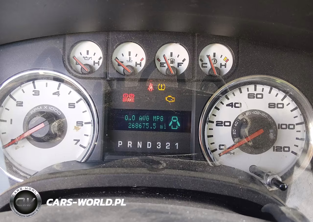 2010 Ford F-150 Fx4-Harley-Davidson-King Ranch-Lariat-Platinum-Xl-Xlt VIN:1FTFW1EV9AFB72108 - 7