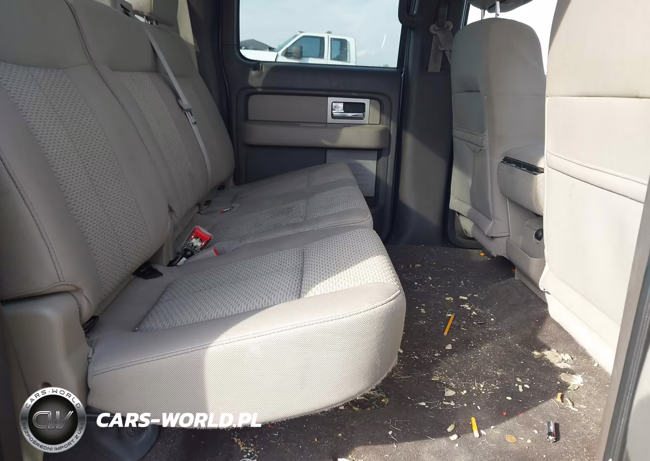 2010 Ford F-150 Fx4-Harley-Davidson-King Ranch-Lariat-Platinum-Xl-Xlt VIN:1FTFW1EV9AFB72108 - 8