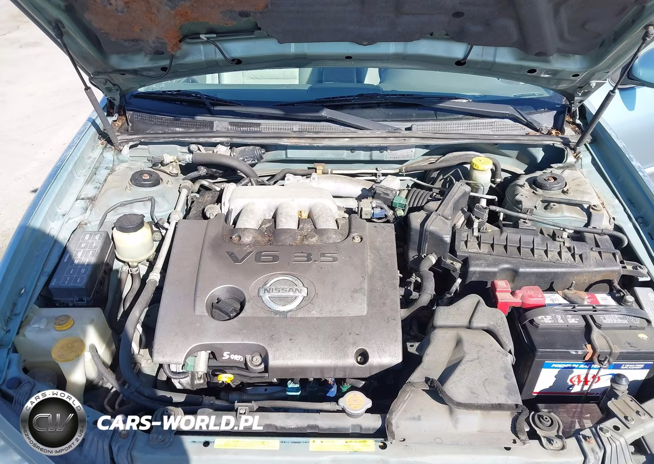 2002 Nissan Maxima Se VIN:JN1DA31A52T302217 - 10
