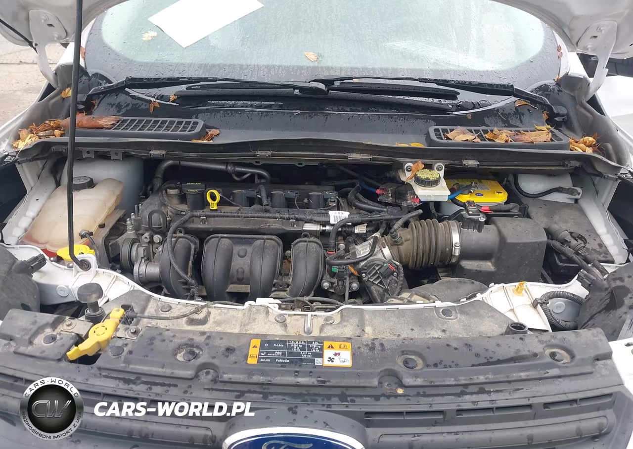 2013 Ford Escape S VIN:1FMCU0F73DUC24394 - 10