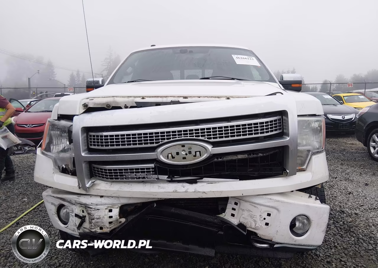 2011 Ford F-150 Platinum VIN:1FTFW1ET1BFC24461 - 13